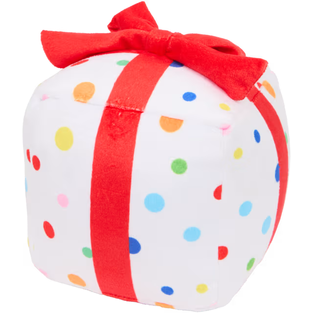 Feest cadeau